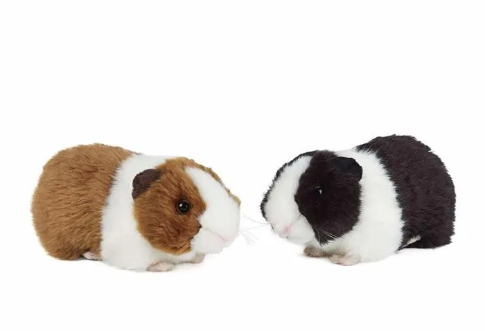Peluche Living nature - AN18 - Jouet en Peluche Cochon d'Inde en Peluche avec Son, a l'unite (20 cm)-0