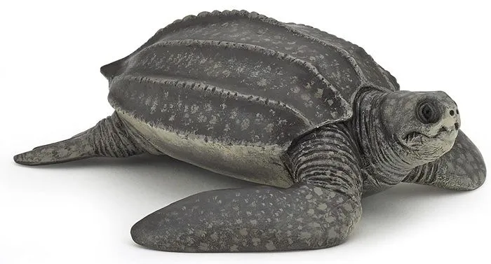 Figurine Tortue Luth - PAPO - Univers marin - Pour enfants à partir de 3 ans-0