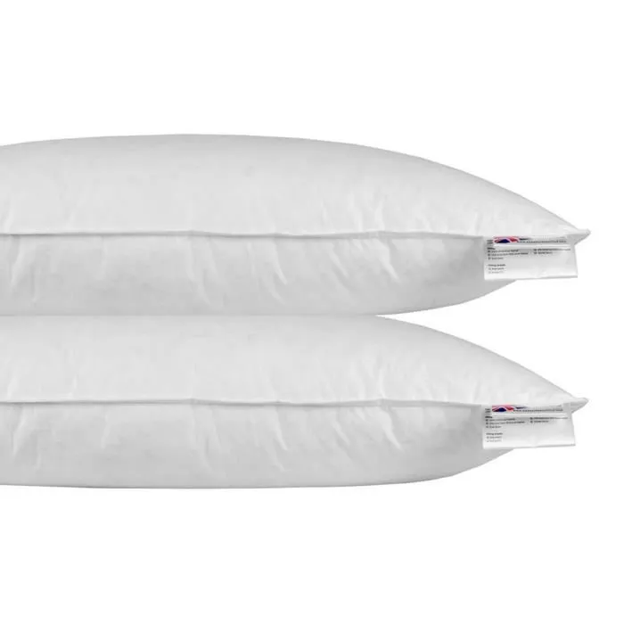 Oreiller rectangulaire - HOMESCAPES - 40 x 80 cm - Lot de 2 - Plumes et duvet d'oie - Oeko-Tex Standard 100-0