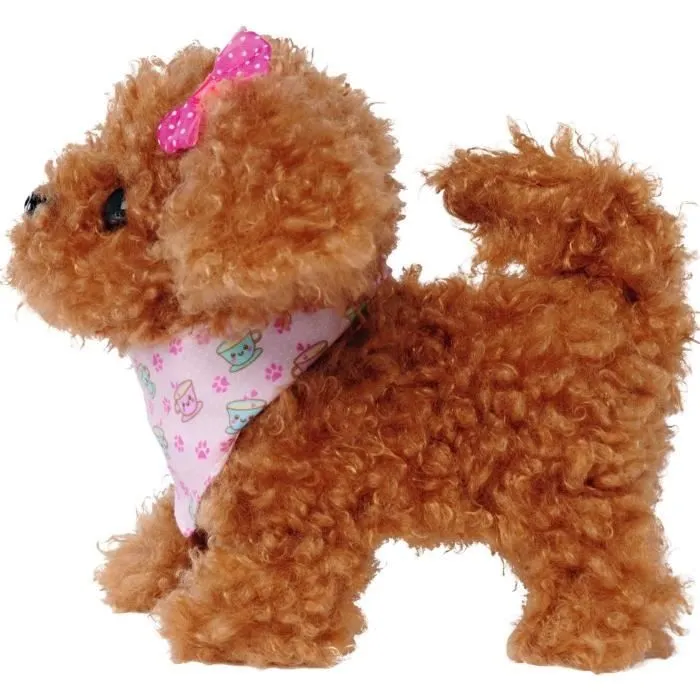 Chi Chi Love Caniche Chiot-2