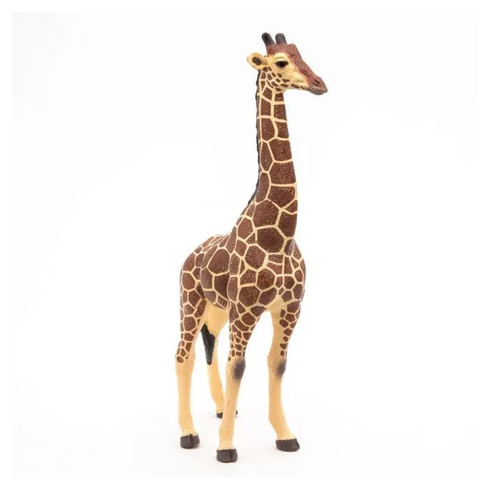 Figurine Girafe mâle - PAPO - LA VIE SAUVAGE - Intérieur - Mixte - 3 ans-5