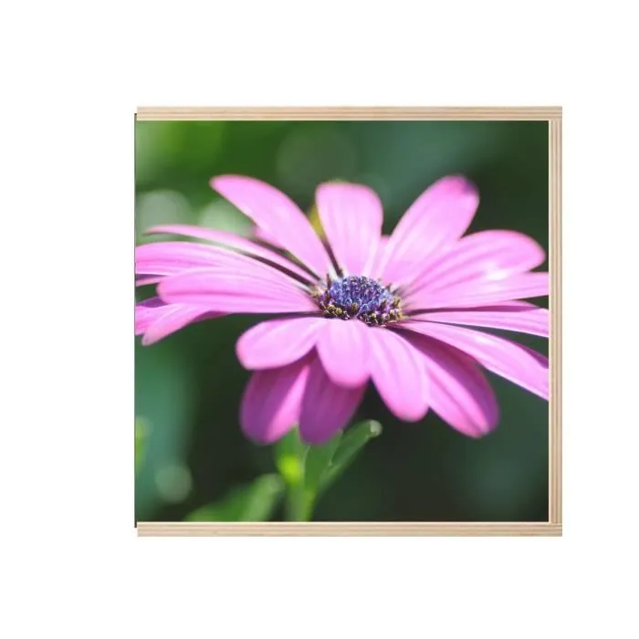 Boite Coffret en Bois - Fleur Marguerite Mauve au Coeur Violet Nature Champêtre  (11 x 11 x 3,5 cm)-2