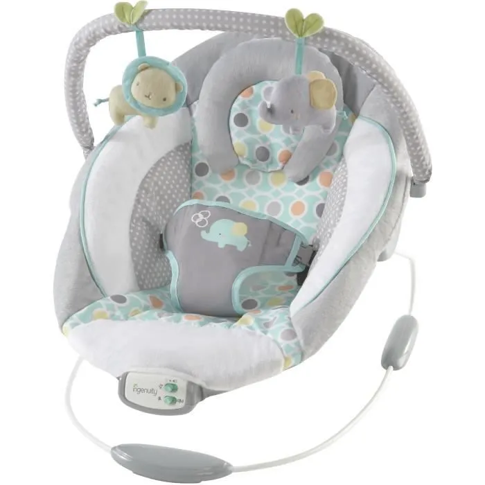 INGENUITY Transat bébé-Morrison- Arche avec jouets d'éveil amovible, 8 Mélodies, Vibrations apaisantes, Cale tête évolutif amovible-0
