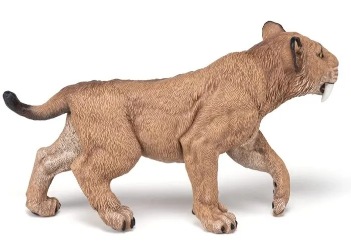 Figurine préhistorique : jeune Smilodon-4