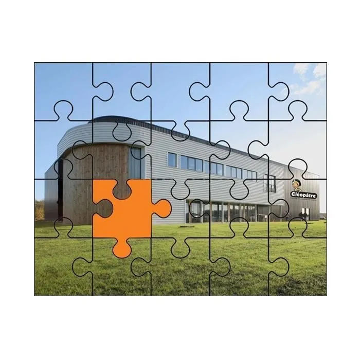 Colle et vernis pour puzzles - CLEOPATRE - Cléo’Puzzle - 250 gr - Transparent - Protection durable-1