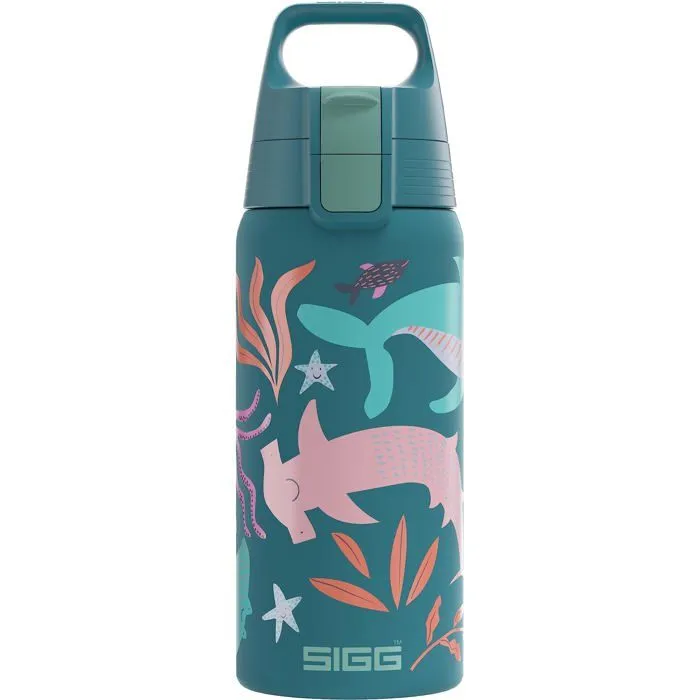 Gourde - bidon - bouteille isotherme Sigg - 6022.90-0