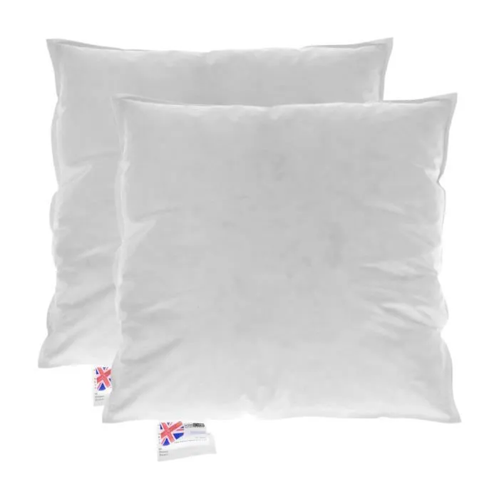 Coussin de garnissage - Homescapes - 40x40 cm - Duvet et plumes d'oie - 100% coton - Lot de 2-0
