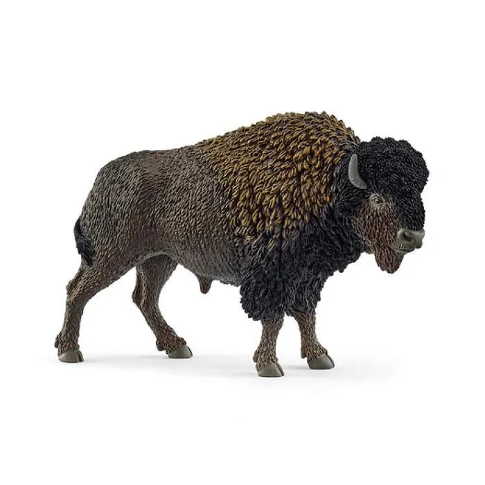 Figurine - SCHLEICH - Bison - 4 x 13 x 8 cm - WILD LIFE - À partir de 3 ans-0