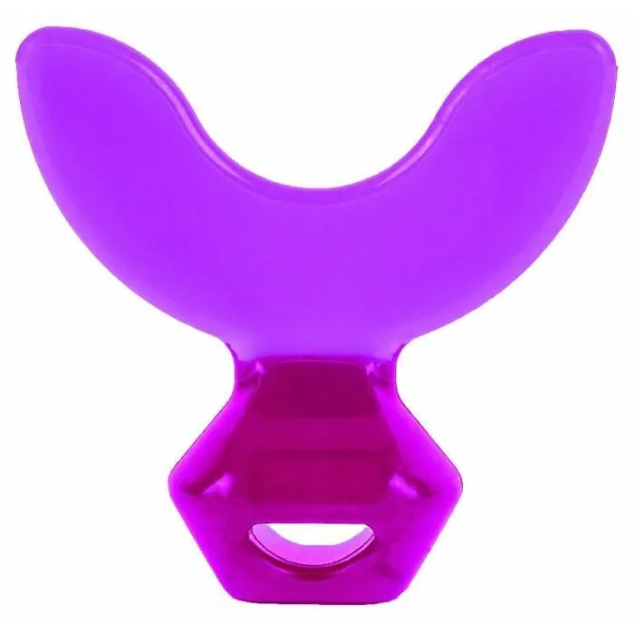 Machouyou Dispositif 1ères dents Prune dés 2 ans-3