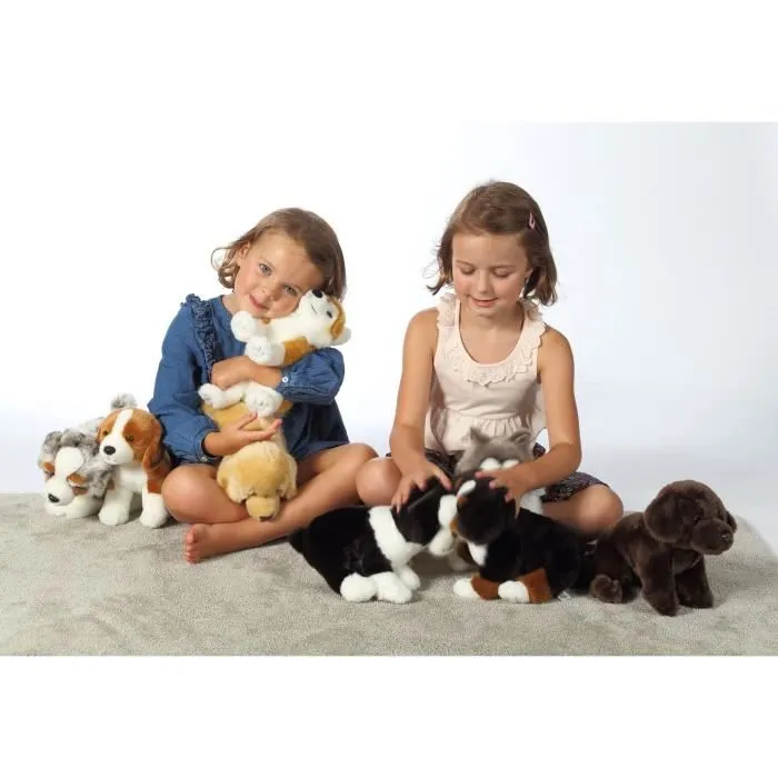 Peluche Chien Husky - GIPSY TOYS - Assis, 25 cm-3