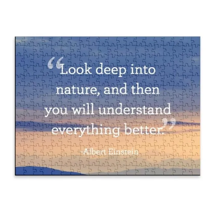 Puzzle Classique - FABULOUS - Albert Einstein Look Deep Citation - 280 Pièces - Intérieur - Mixte - Adulte-1