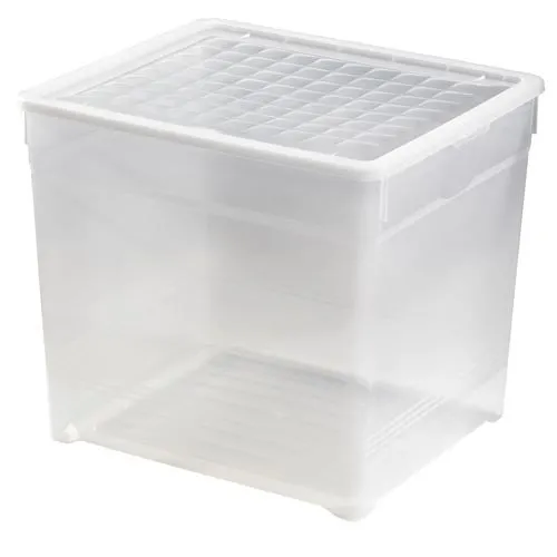 Clearbox 33 L Curver-0