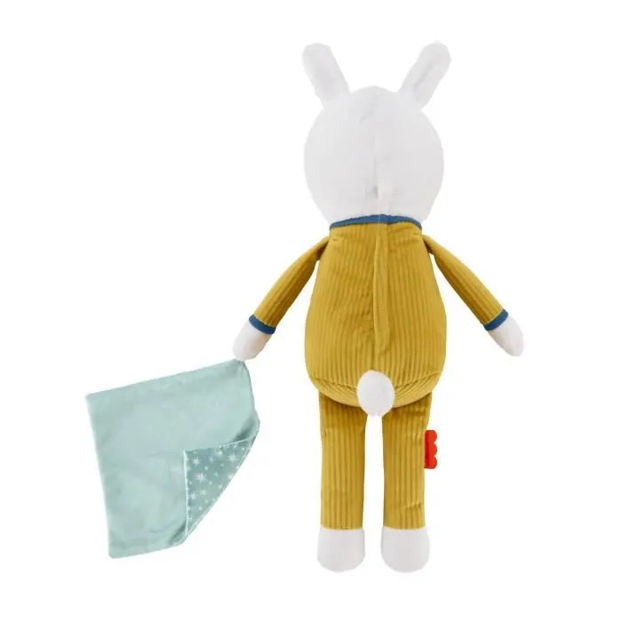 Fisher-Price - Lapinou Compagnon Dodo - Peluche lapin avec musique et veilleuse - 18 mois et +-4
