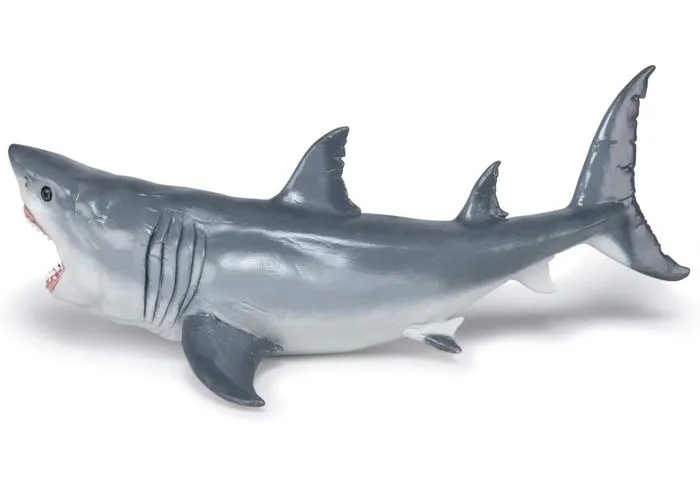 Figurine préhistorique : Megalodon-3