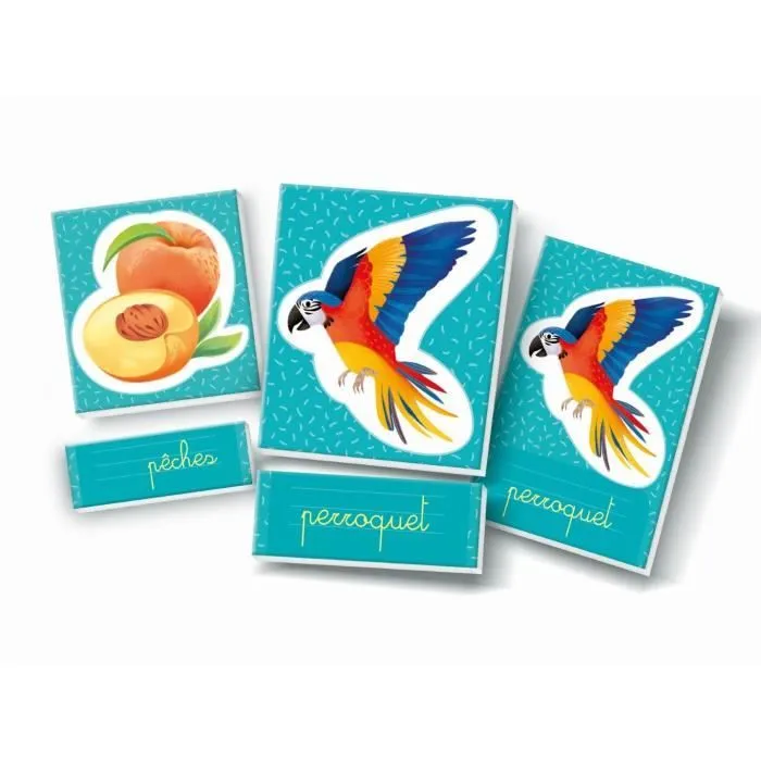Montessori - Clementoni - Les mots en images - Jeu éducatif développement du lexique - Dés 3 ans-1