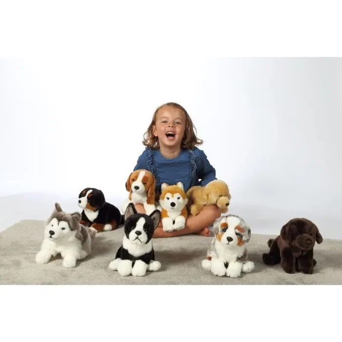 Peluche Chien Bouvier Bernois - GIPSY TOYS - Assis, 25 cm-2