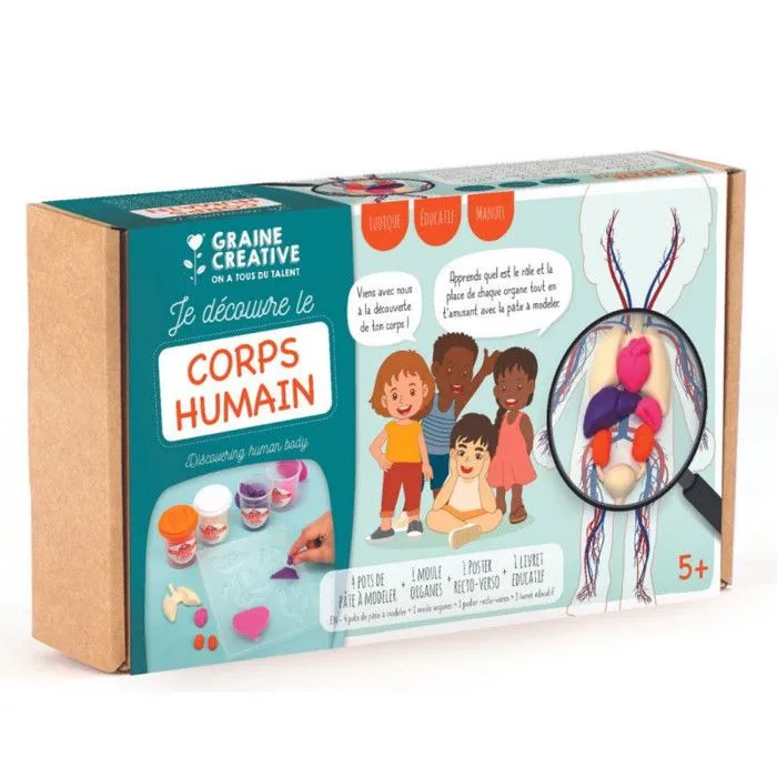 Kit créatif pâte à modeler - Je découvre le corps humain-1
