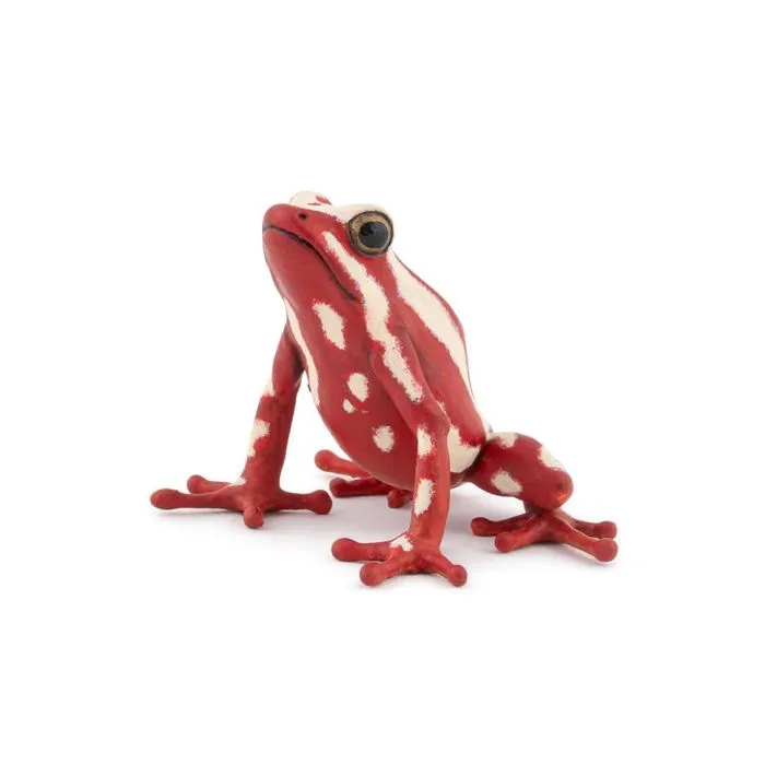Papo - Figurine grenouille flèche tricolore-0