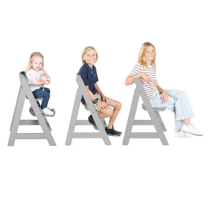 ROBA Chaise Haute Évolutive Sit Up Flex - Utilisable Jusqu'à la Chaise d'Adolescent - Bois Gris-2