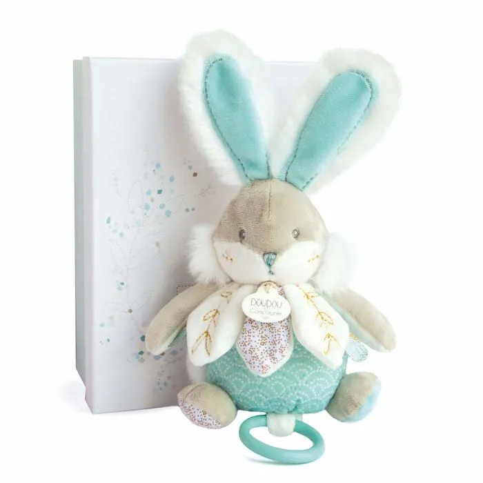DOUDOU ET COMPAGNIE - Lapin de sucre - Boîte à musique - Vert - A partir de 4 ans - Mixte-2