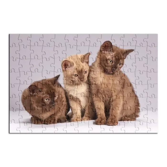 Puzzle Classique 100 pièces Bebe Chats Siamois Persan Poils Longs Chat Trio Mignon-1