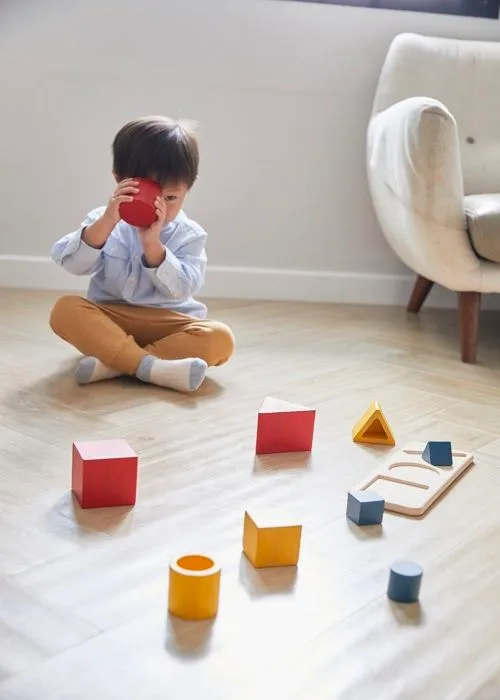 Plan Toys - Puzzle d'encastrement 3 formes - TROUSSELIER-5