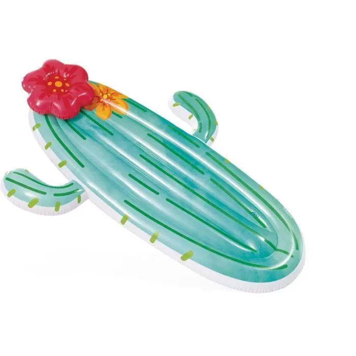 Matelas gonflable Intex Cactus-0