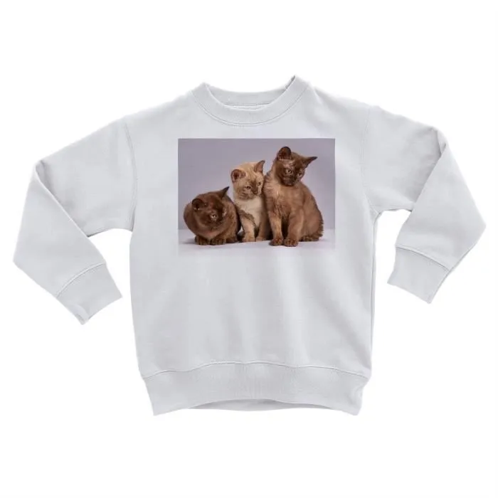Sweatshirt Enfant Bebe Chats Siamois Persan Poils Longs Chat Trio Mignon-0