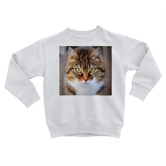 Sweatshirt Enfant Magnifique Chat Tigre a Poil Long Gros Plan Yeux Vert-0