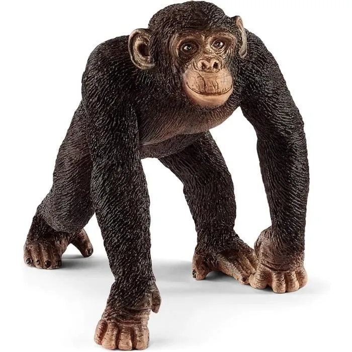 Figurines Kit de base Wild Life, 4 figurines ultra réalistes, jouet pour enfants dès 3 ans, Schleich 42387 Wild life-5