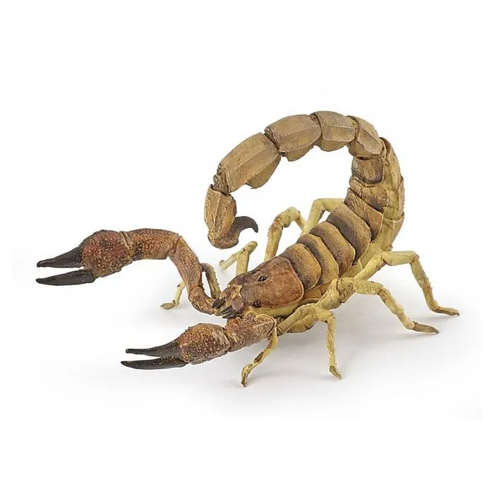 Papo - Figurine Scorpion-1