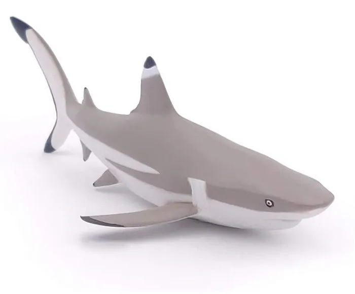 Papo - Figurine Requin à pointes noires-1