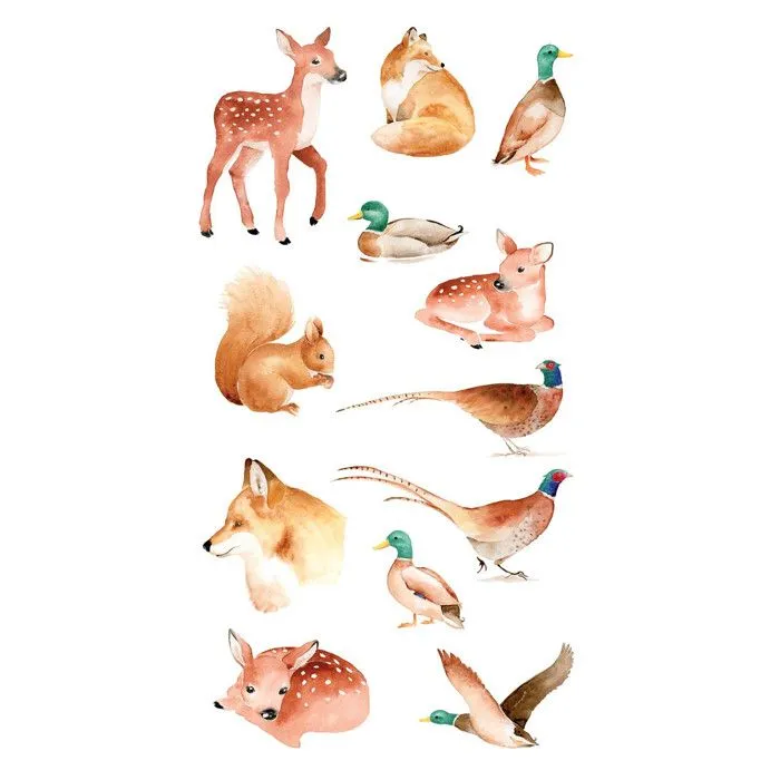 Autocollants transparents - Animaux-0