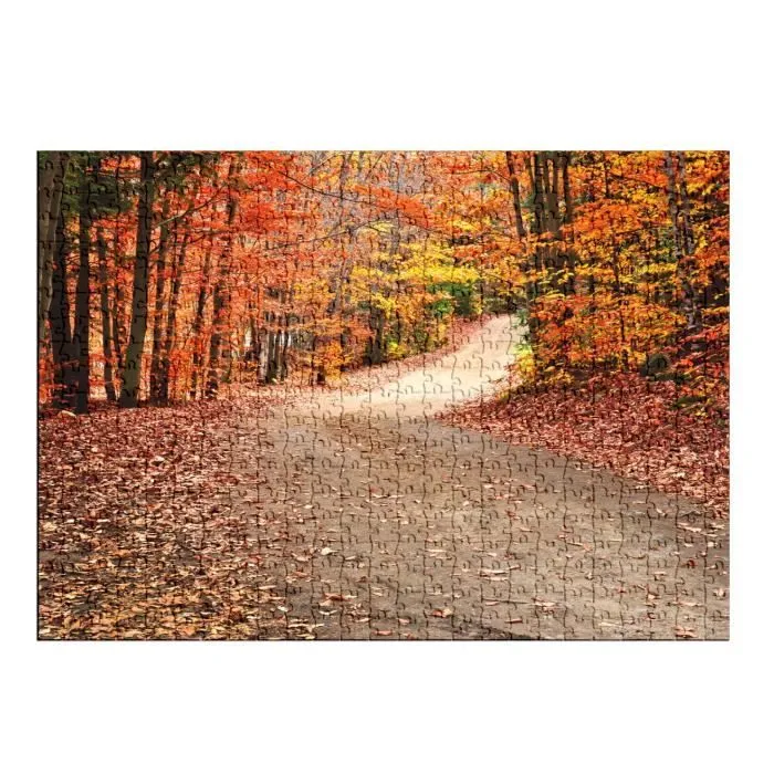 Puzzle Classique 500 pièces - FABULOUS - Chemin Dans une Forêt d'Automne - Mixte - Adulte - Intérieur-1