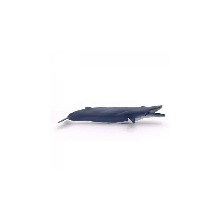 Papo - Baleine bleue-5