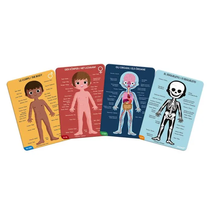 Puzzle Géant Corps Humain 350Pièces-2