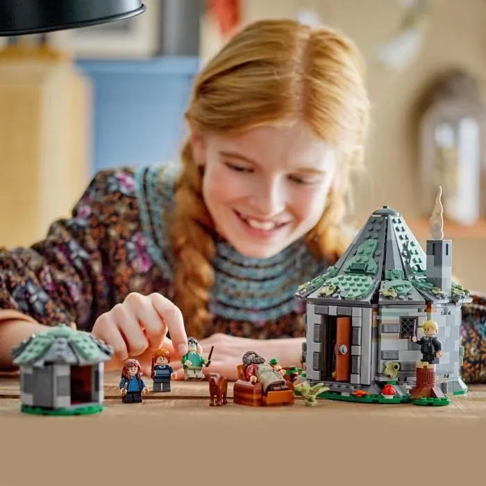 LEGO Harry Potter 76428 La Cabane de Hagrid : une Visite Inattendue, Jouet Fantastique-4
