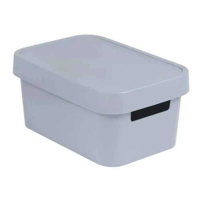 Curver Infinity Boîte de Rangement avec Couvercle Plastique Grise 4,5 L-0