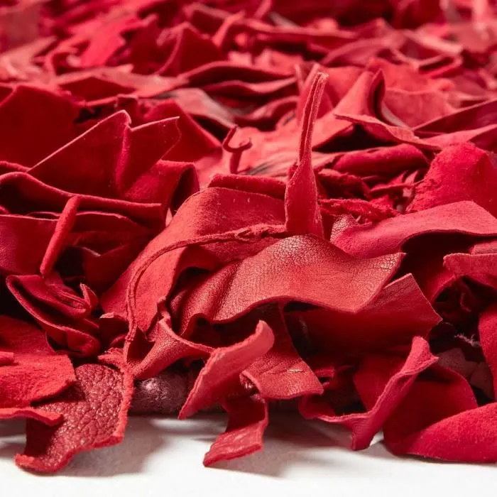 Tapis Shaggy Cuir Dallas Rouge 150 x 240 cm-3