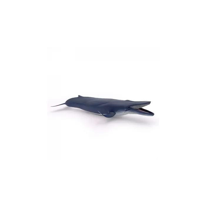 Papo - Baleine bleue-4