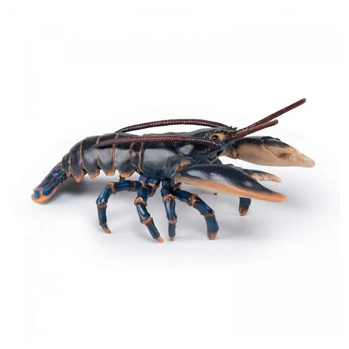 Aliment - Homard - Mixte - Enfant - A partir de 3 ans - Noir-0