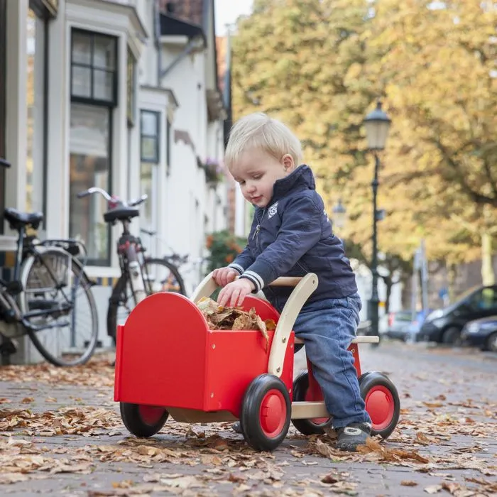 Vélo Triporteur pour Enfant - NEW CLASSIC TOYS - REF 1400 - Rouge - 3 Roues - 24 mois et plus-0