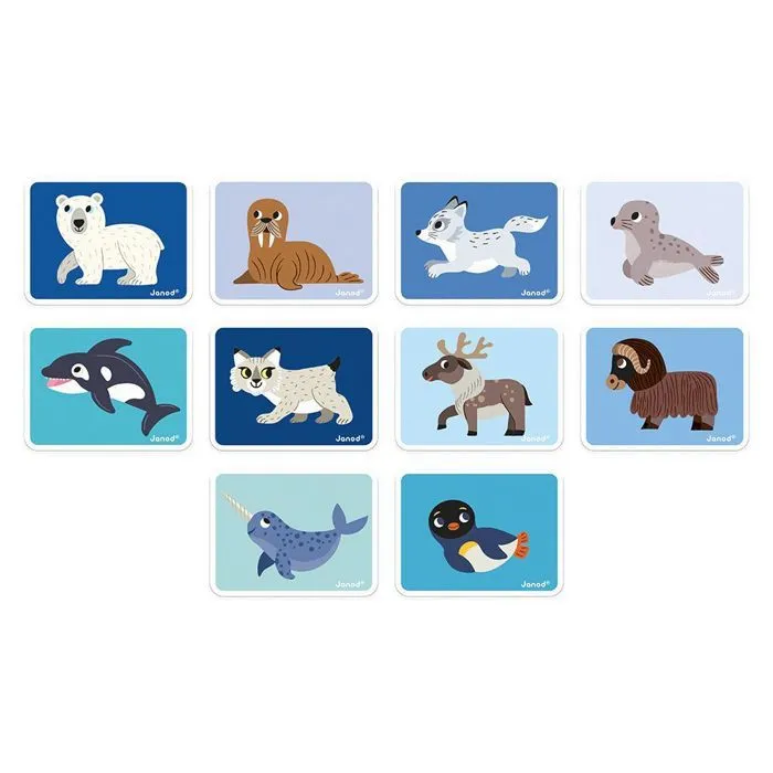 Magnéti'Book Animaux Polaires - Jeu Educatif Magnétique 30 Aimants + 10 Modèles - Jouet Enfant en Carton FSC - Dès 3 Ans-4