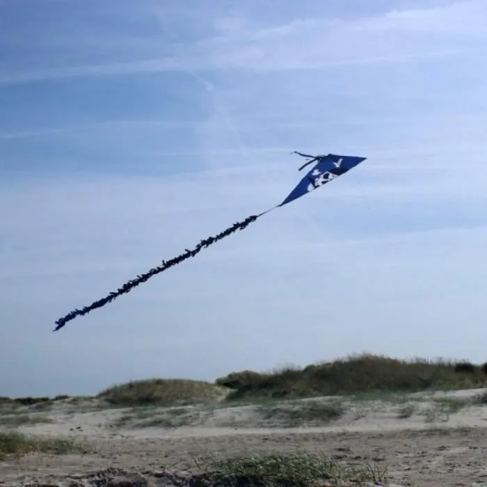 Cerf-volant Eddy Fred 75cm pour enfants - WOLKENSTURMER - Motif cool et queue colorée - Bleu-1