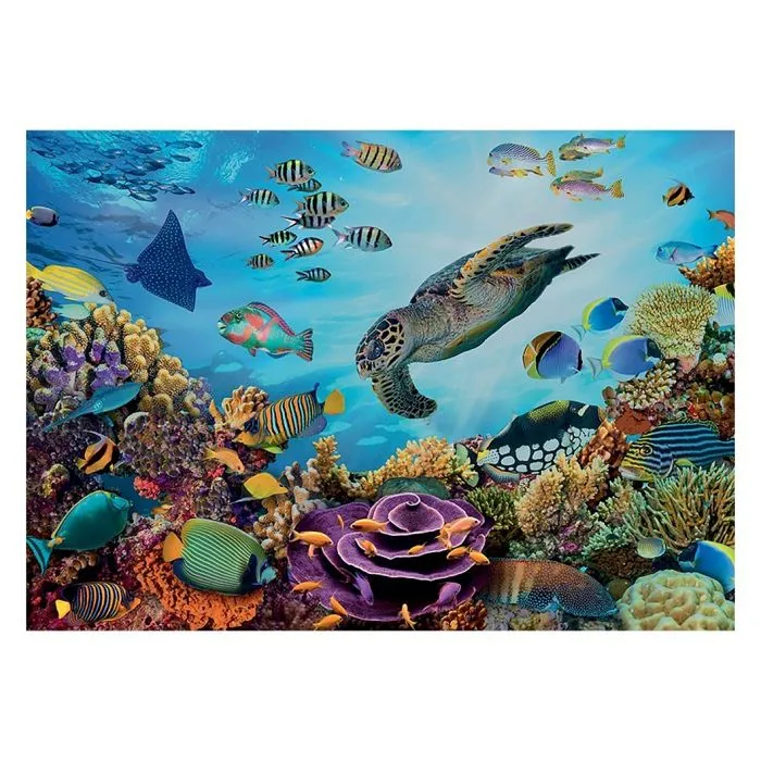 Puzzle Calypto Fonds marins-1