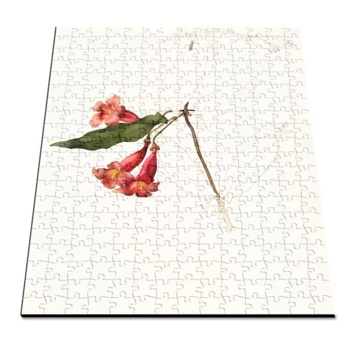 Puzzle Classique - FABULOUS - Fleurs Rouge Aquarelle Dessin - 280 Pièces - Adulte - Intérieur-2