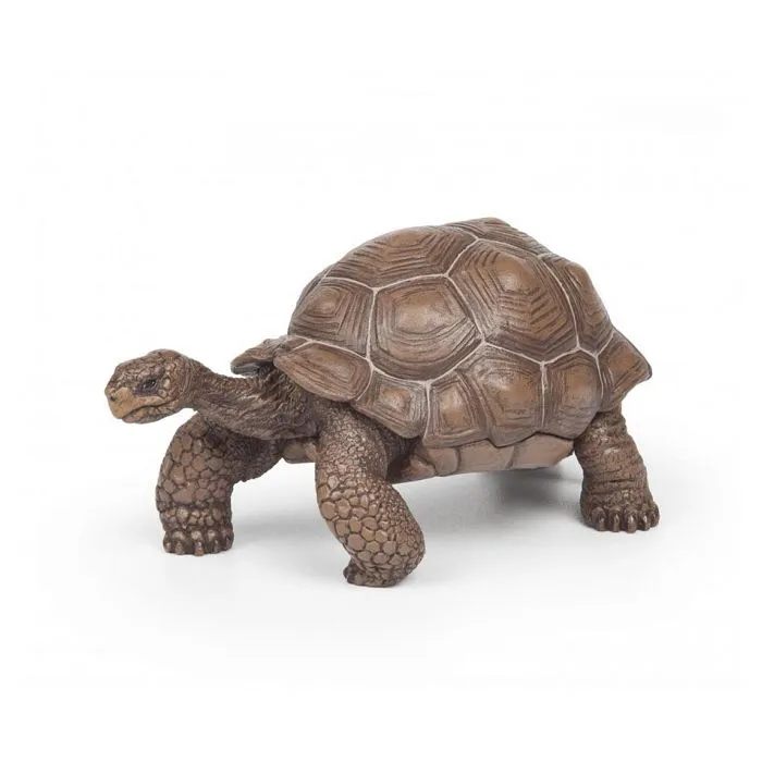 Figurine Tortue des Galapagos - Papo - Collection Vie Sauvage - Jouet pour Enfant de 3 à 10 ans-2