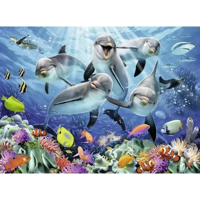 Puzzle 500 pièces Dauphins dans la Barrière de Corail-0