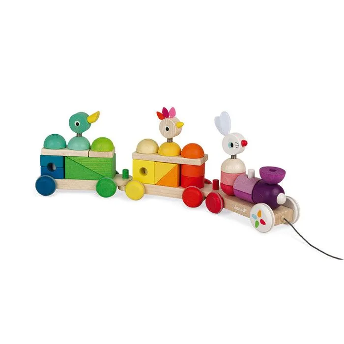 JANOD - Train Géant Zigolos - Jouet à tirer et jeu d'encastrement en bois - Dès 12 mois - Vert et multicolore-3