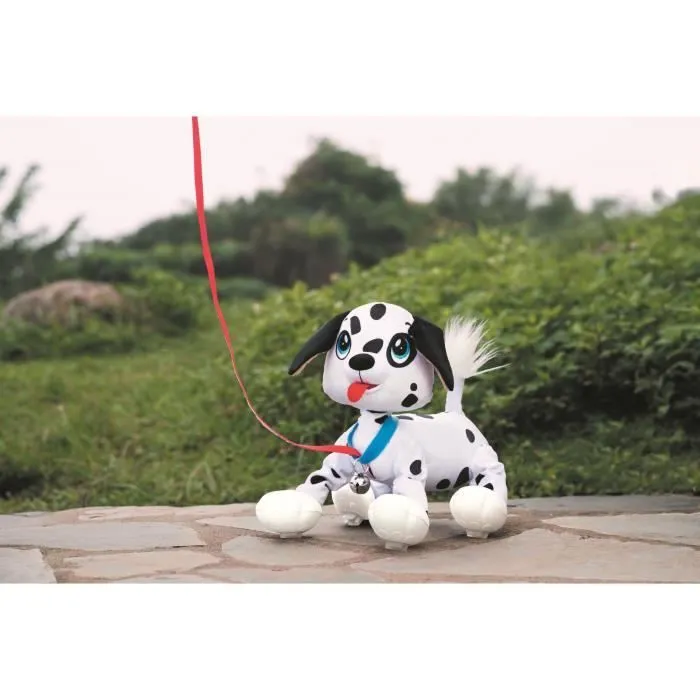 LES TOUFOUS Chien Dalmatien-2
